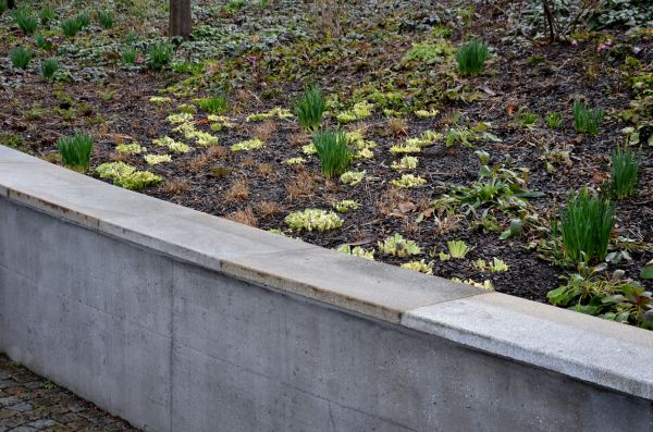 Concrete Wall Construction in Loveland