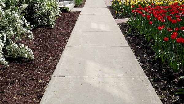 Concrete Sidewalk Service in Loveland