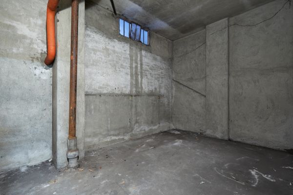 Basement Wall Construction in Loveland