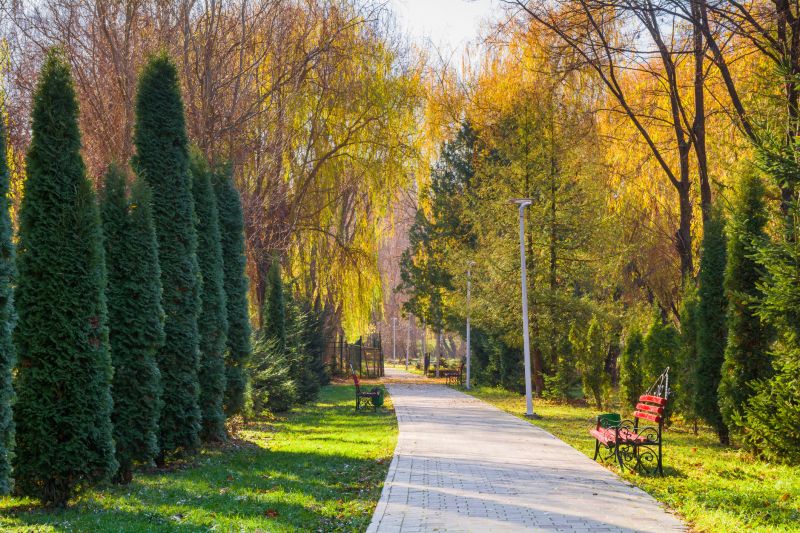 Paved Walkway Service